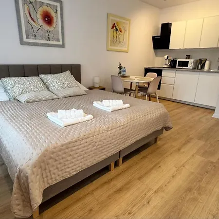 Apartment Przedzamcze Malbork