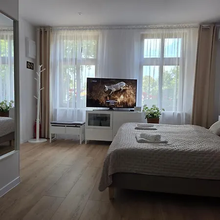 Przedzamcze Apartament Malbork