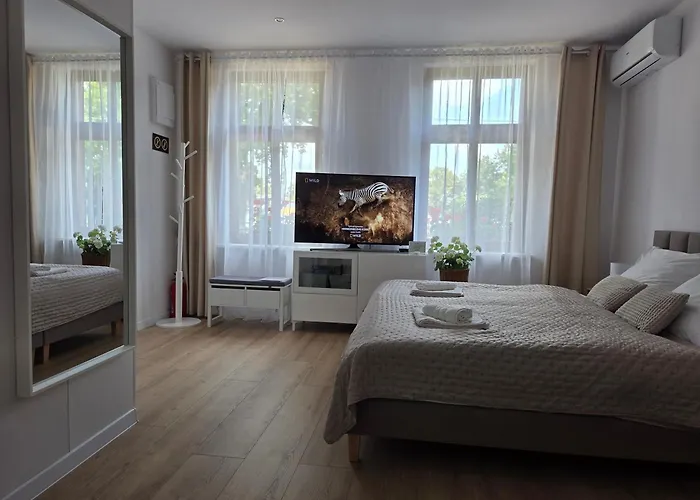 Przedzamcze Apartamento Malbork